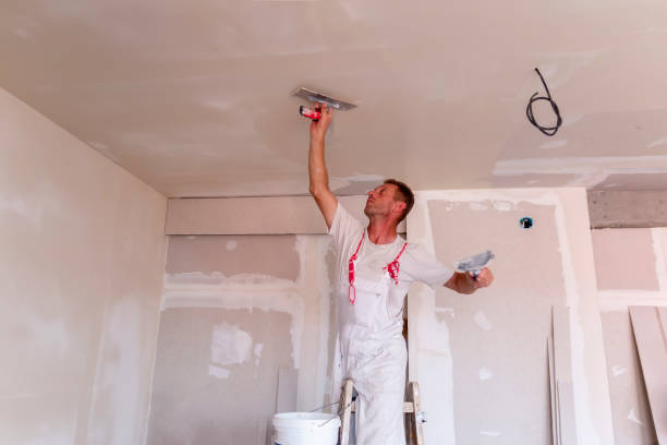 Best Drywall Installation  in Roslyn Heights, NY